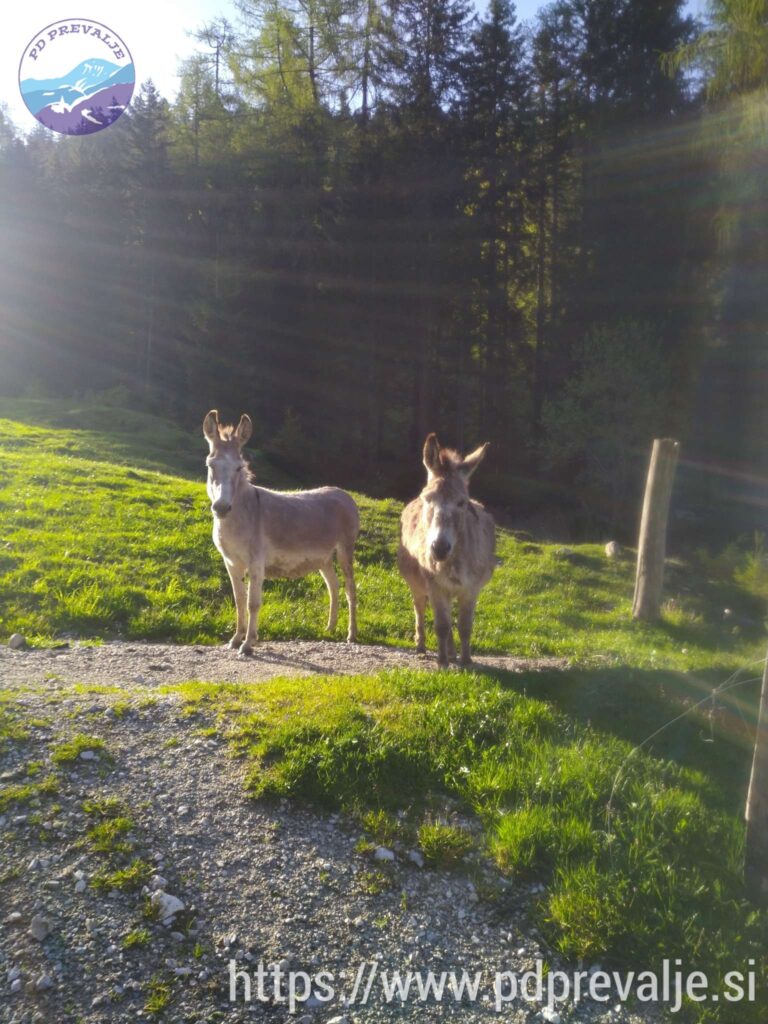 Na koči imamo lep sprejem