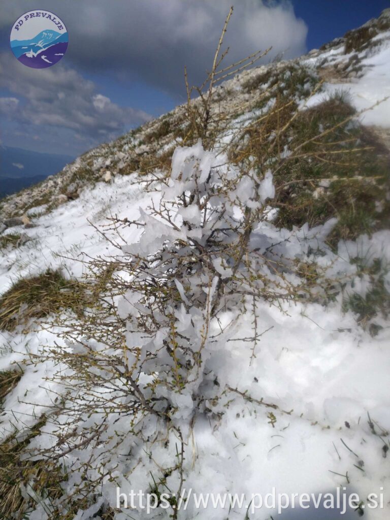 Zaradi novozapadlega snega postane pot zahtevnejša.