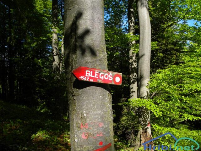 Blegos 1